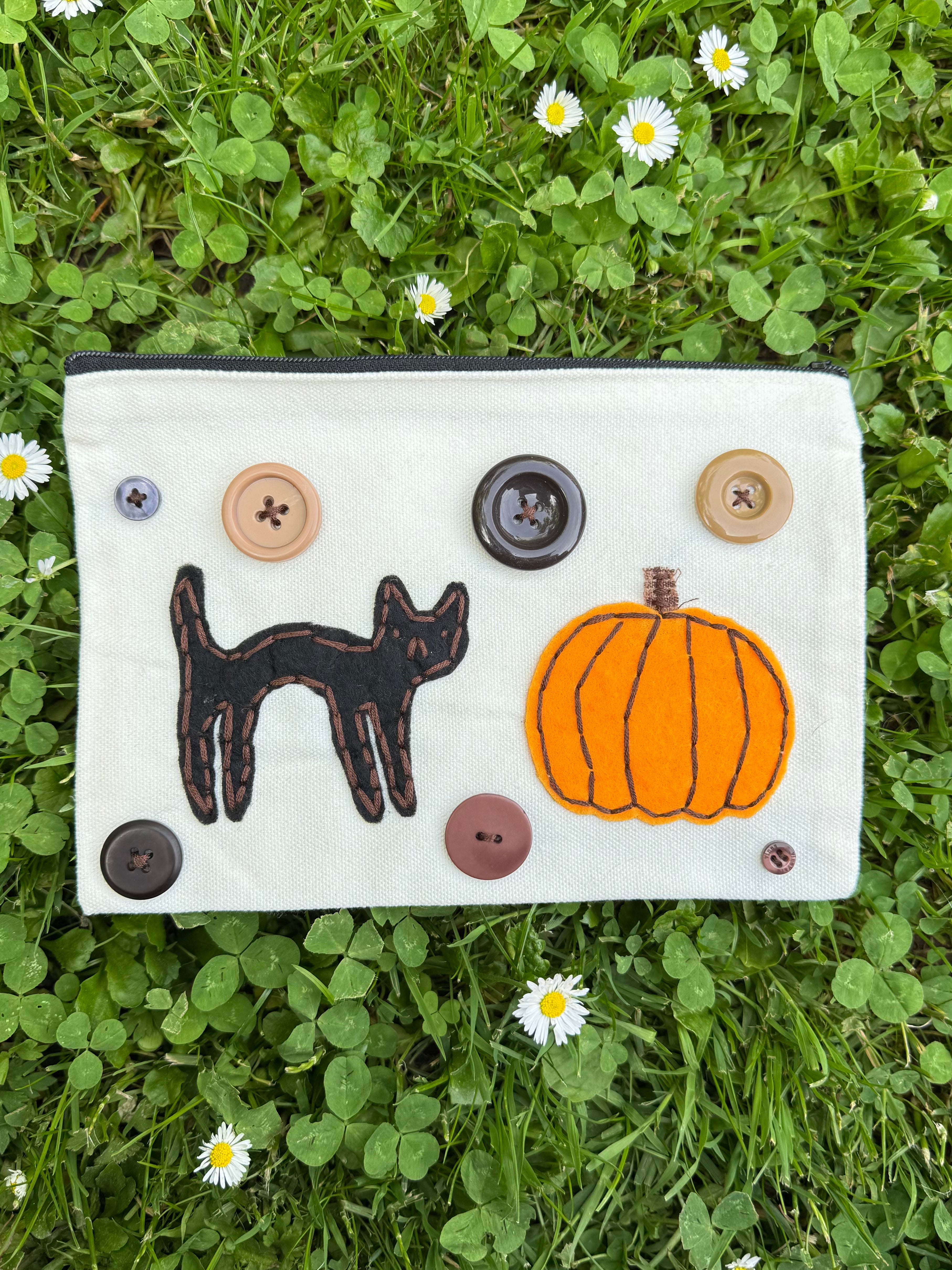 pumpkin cat pouch