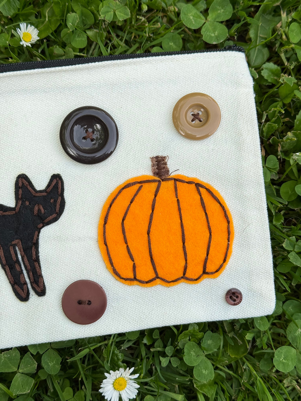pumpkin cat pouch