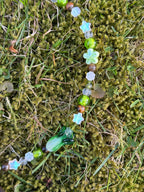 grandma´s garden bug necklace