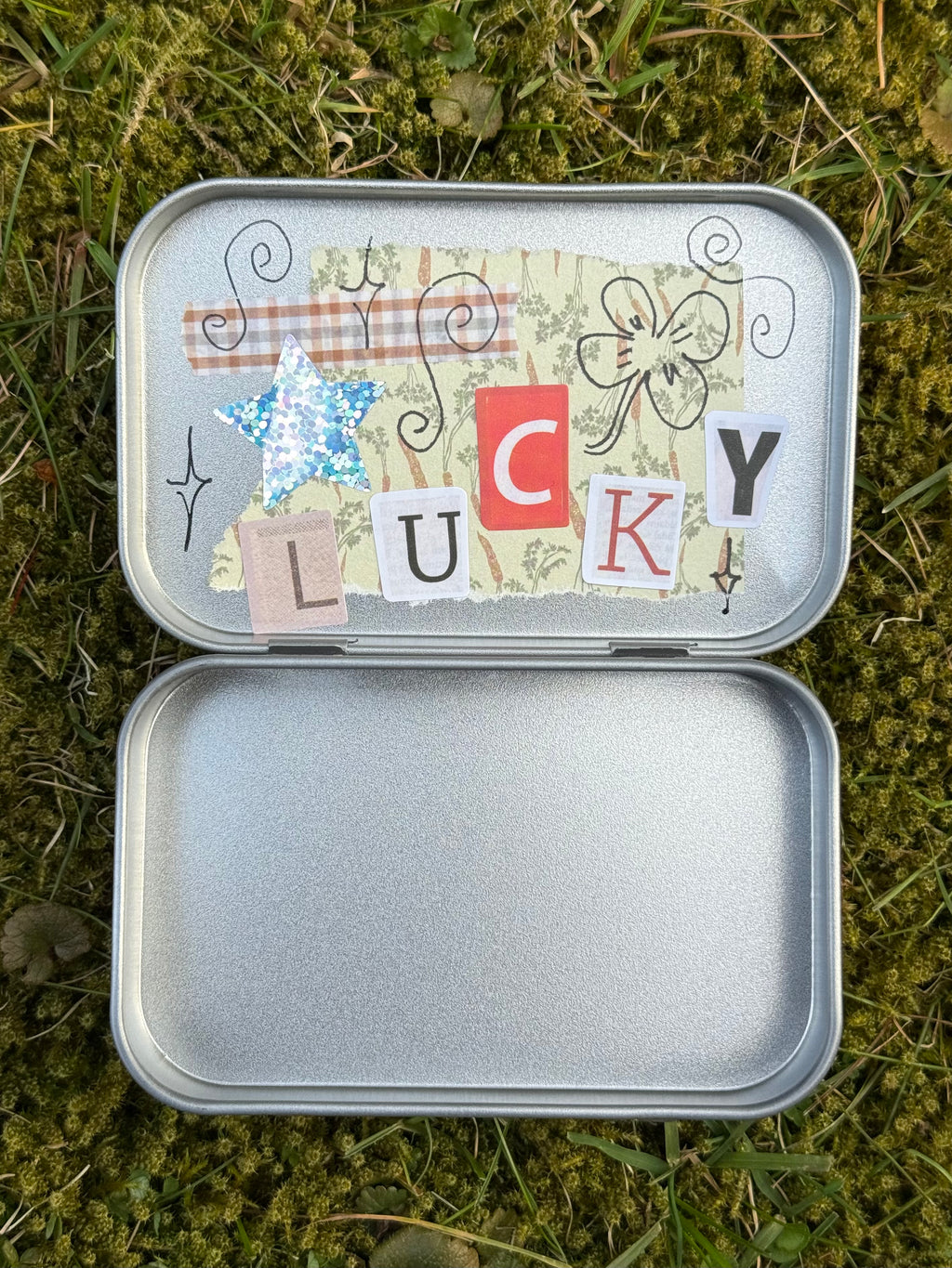 apple bug trinket box