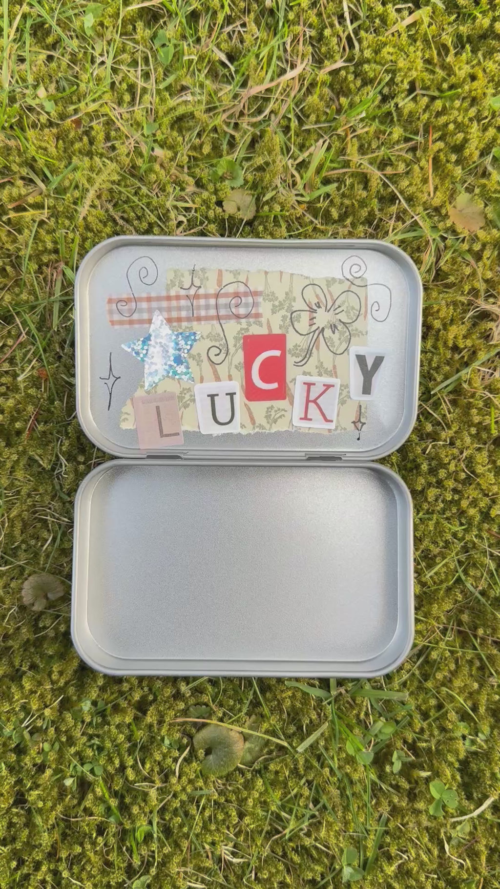 apple bug trinket box