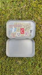 apple bug trinket box
