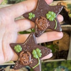 lucky spiral bug hair clip
